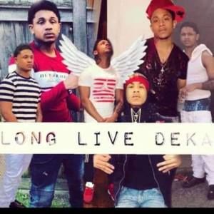 Meet your Posher, Molly